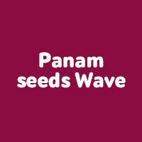 Panam seeds Wave