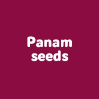 Panam seeds