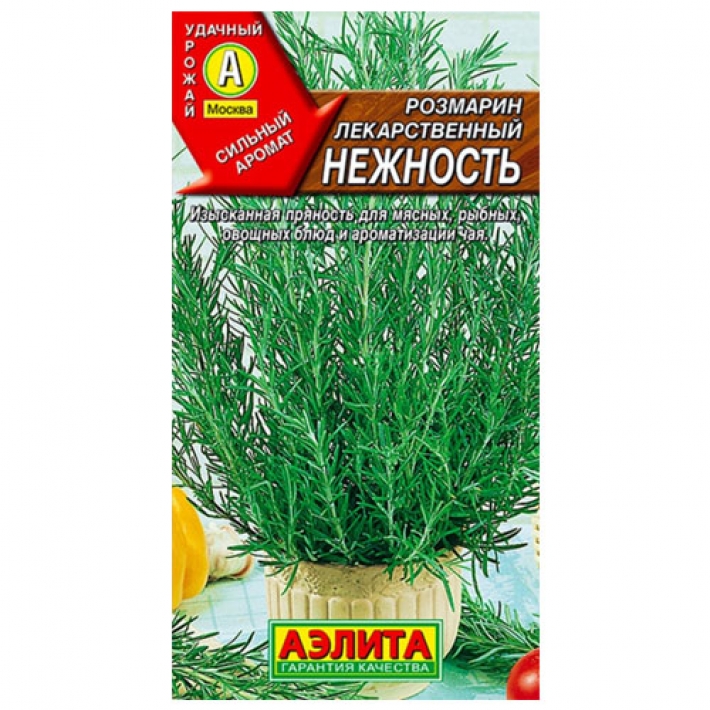 Розмарин Нежность