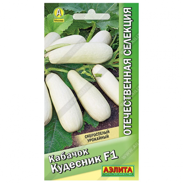 Кабачок белоплодный Кудесник F1