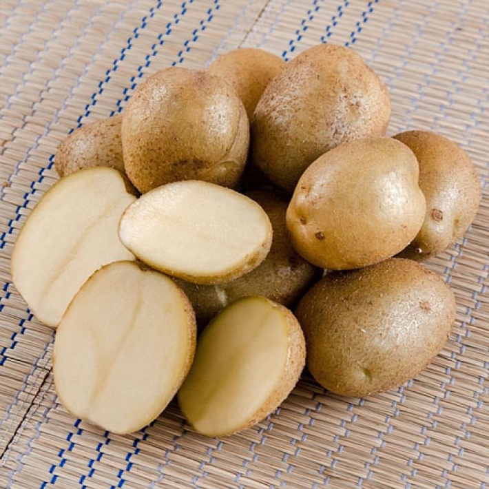 Картофель Лидер Э