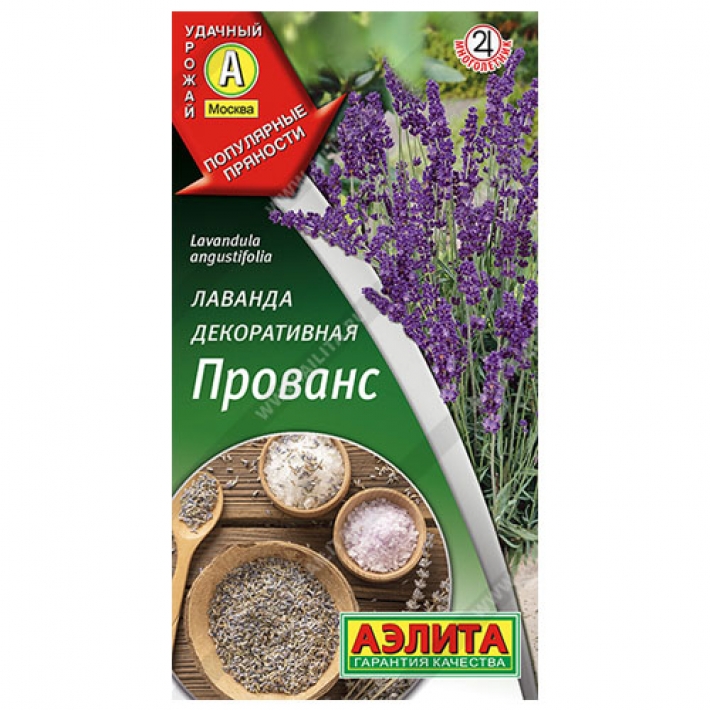 Лаванда декоративная Прованс
