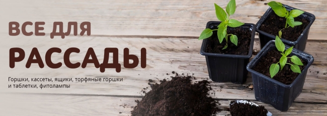 Все для рассады