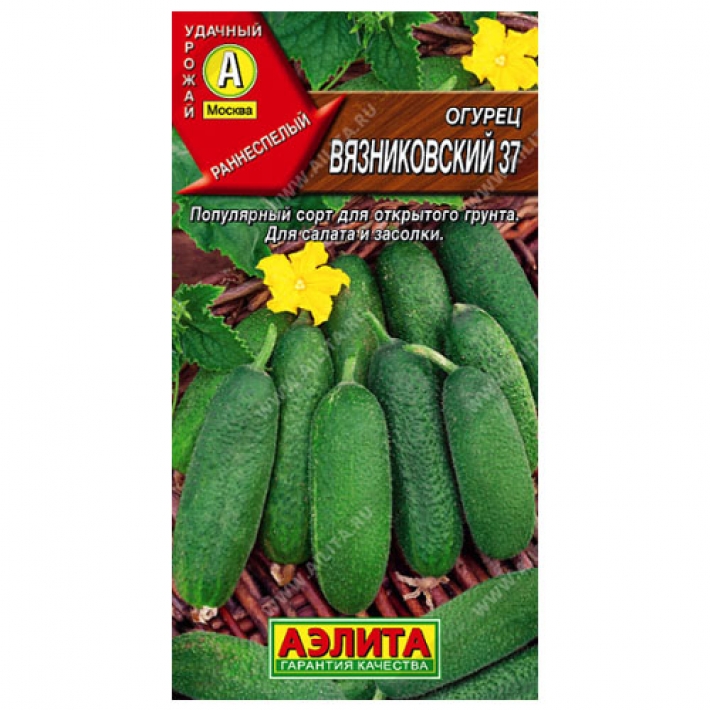 Огурец Вязниковский 37