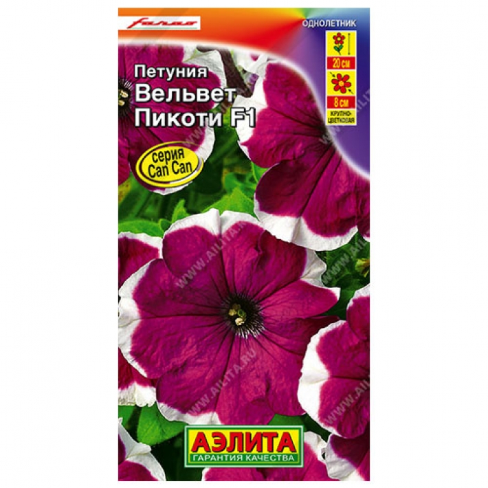 Петуния Вельвет пикоти F1 крупноцветковая