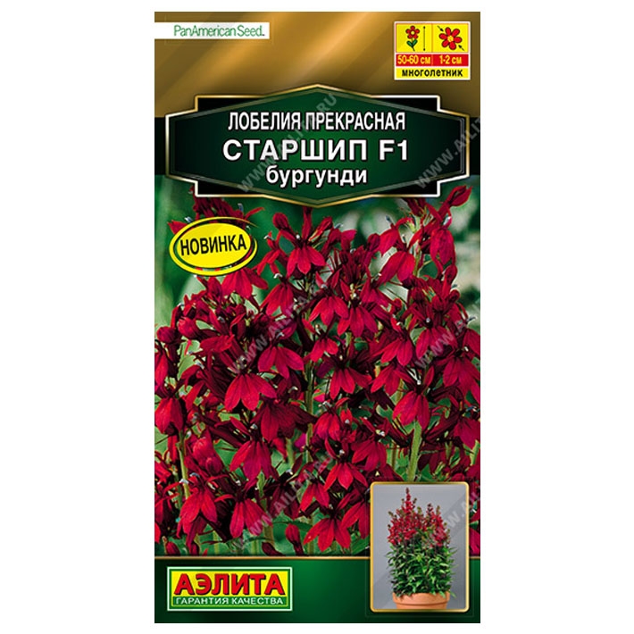 Лобелия Старшип F1 бургунди