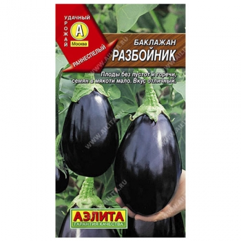 Баклажан Разбойник