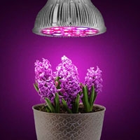 Светильники для растений