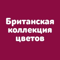 Британская коллекция цветов