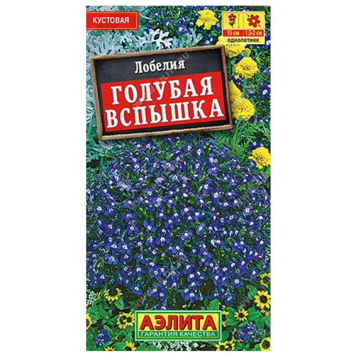 Лобелия Голубая вспышка