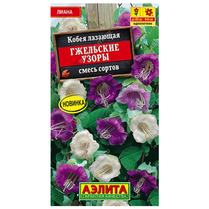 Кобея Гжельские узоры, смесь сортов