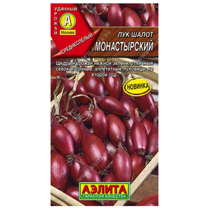 Лук шалот Монастырский