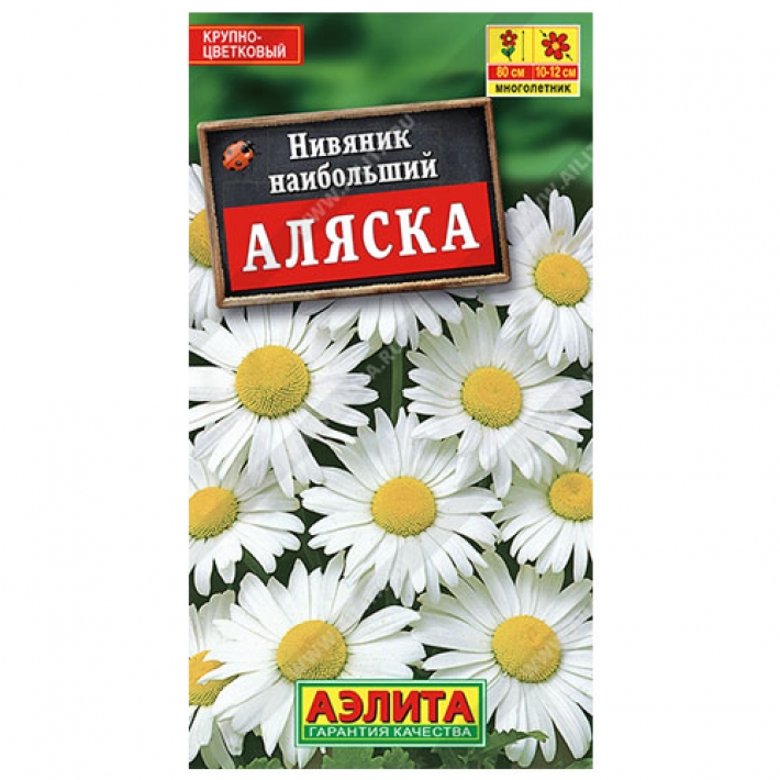 Нивяник Аляска