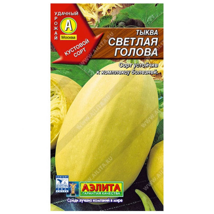 Тыква Светлая голова