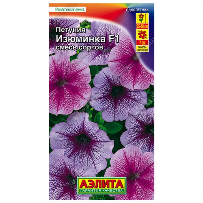 Петуния Изюминка F1 многоцветковая, смесь сортов