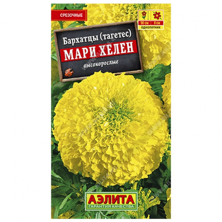 Бархатцы Мари Хелен прямостоячие