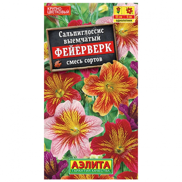 Сальпиглоссис Фейерверк, смесь сортов