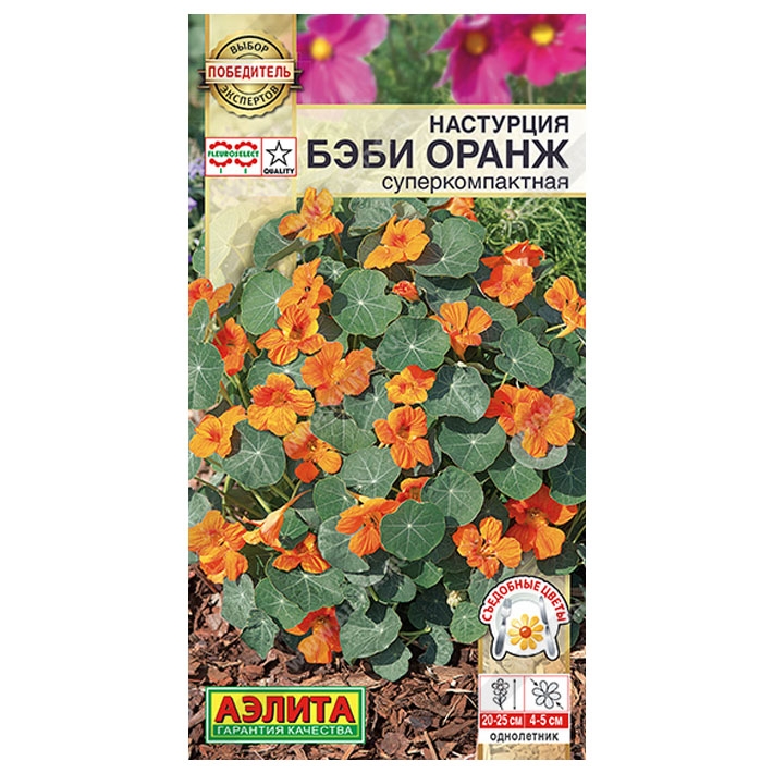 Настурция Бэби оранж суперкомпактная