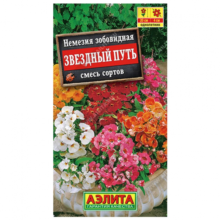Немезия Звездный путь, смесь сортов