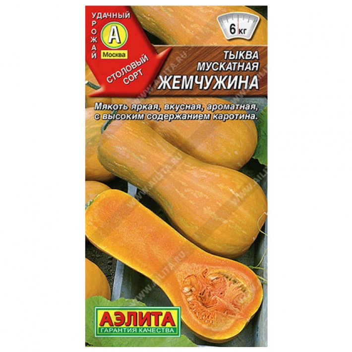 Тыква мускатная Жемчужина