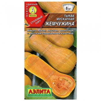 Тыква мускатная Жемчужина