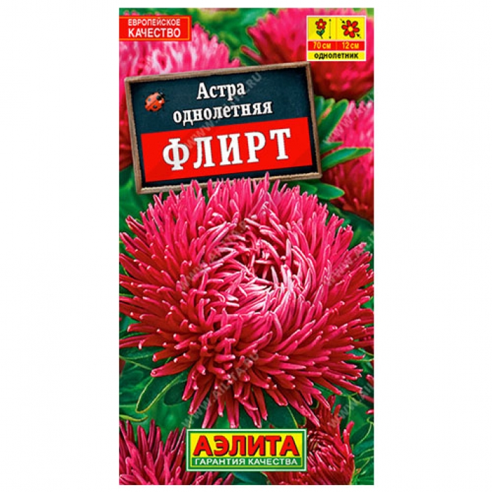 Астра Флирт