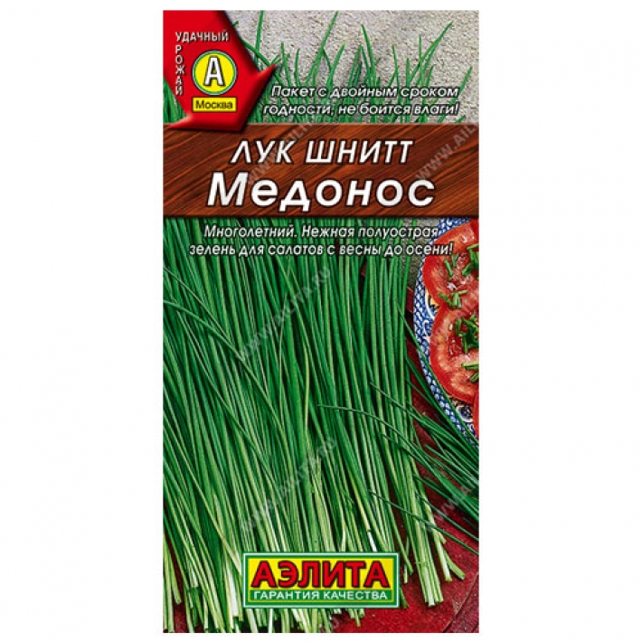 Лук шнитт Медонос