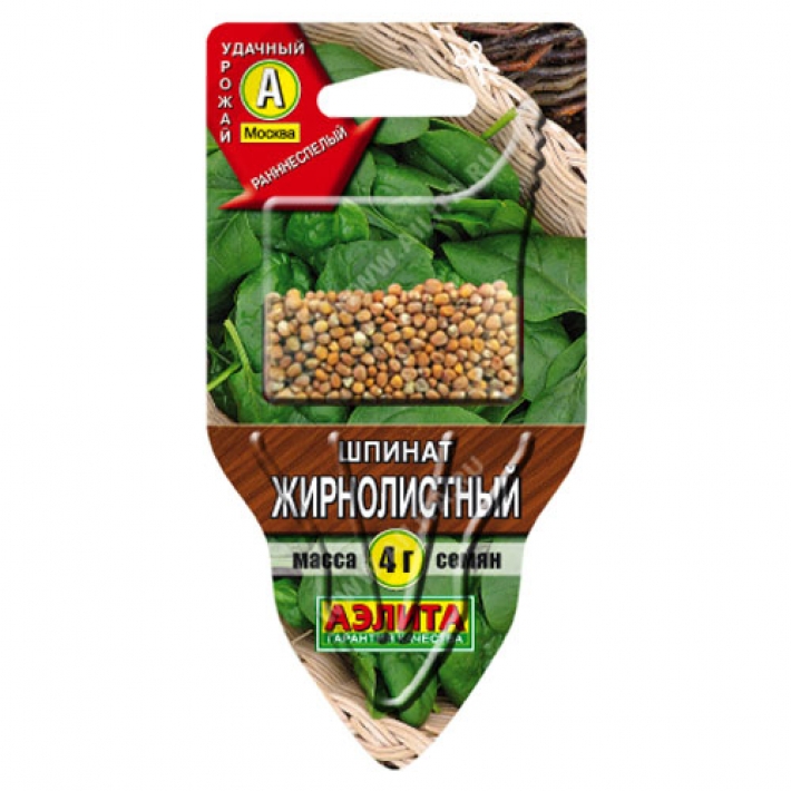 Шпинат Жирнолистный