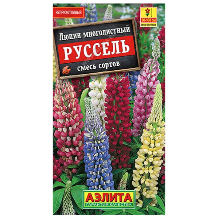 Люпин Руссель, смесь сортов