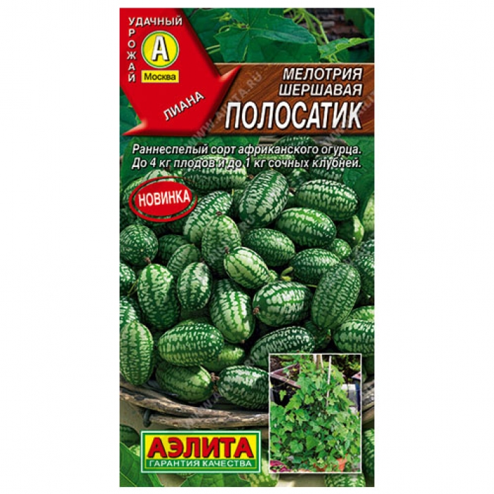 Мелотрия (Мышиная дыня) Полосатик