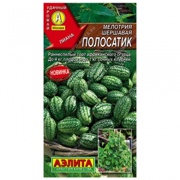 Мелотрия (Мышиная дыня) Полосатик