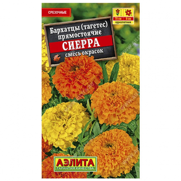 Бархатцы Сиерра, смесь окрасок