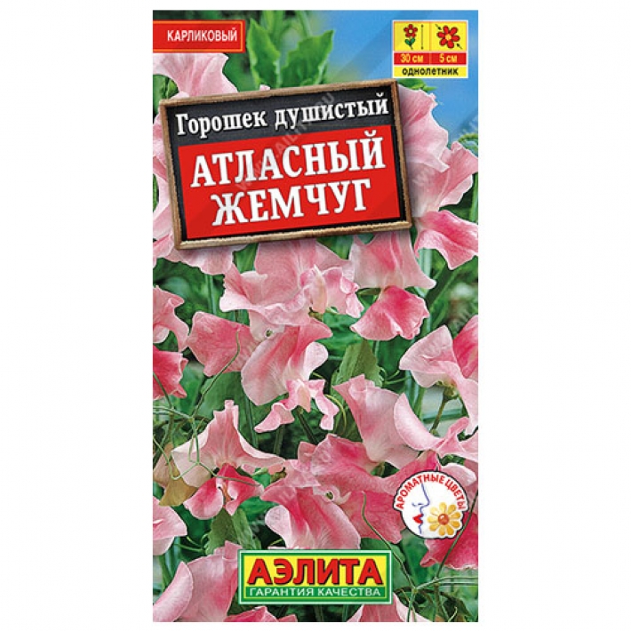 Горошек душистый Атласный жемчуг