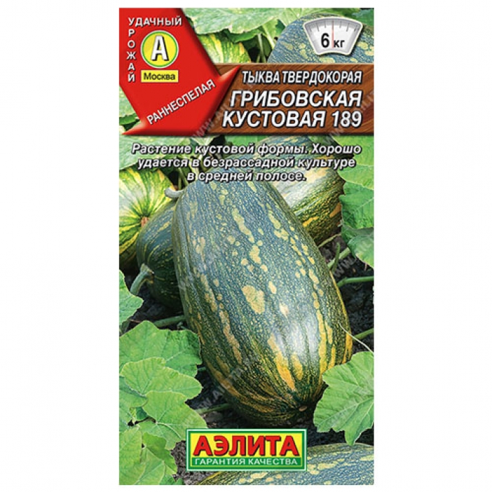 Тыква твердокорая Грибовская кустовая 189