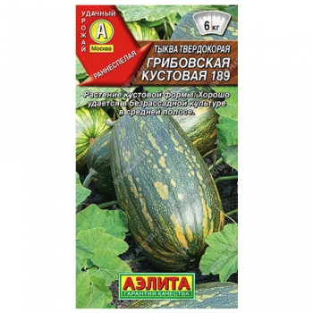 Тыква твердокорая Грибовская кустовая 189