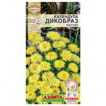Календула Дикобраз желтая