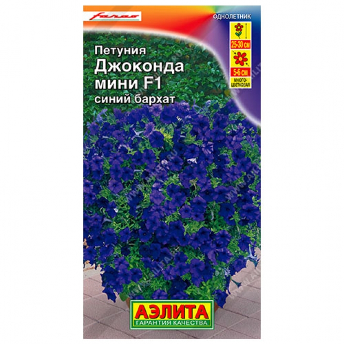 Петуния Джоконда мини F1 синий бархат