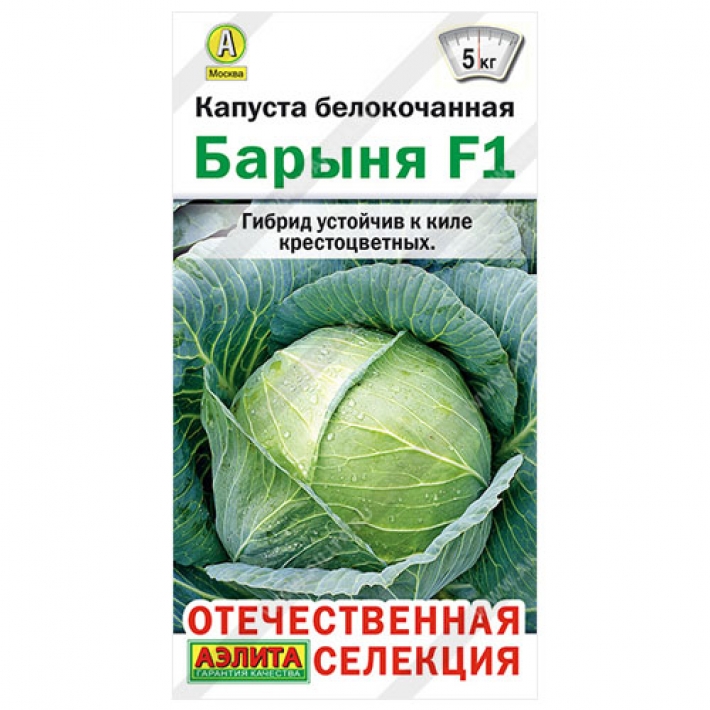 Капуста б/к Барыня F1