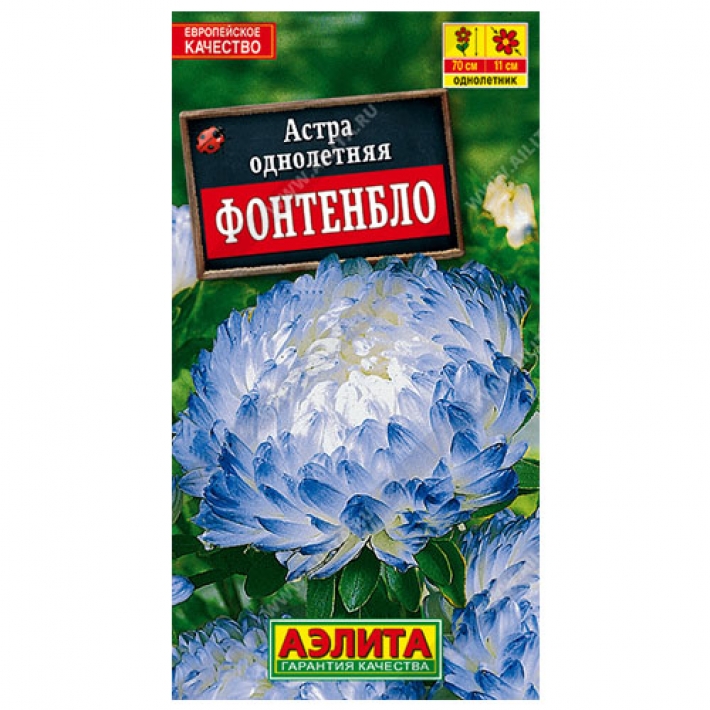 Астра Фонтенбло