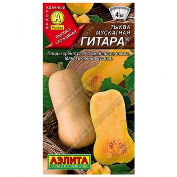 Тыква мускатная Гитара ®
