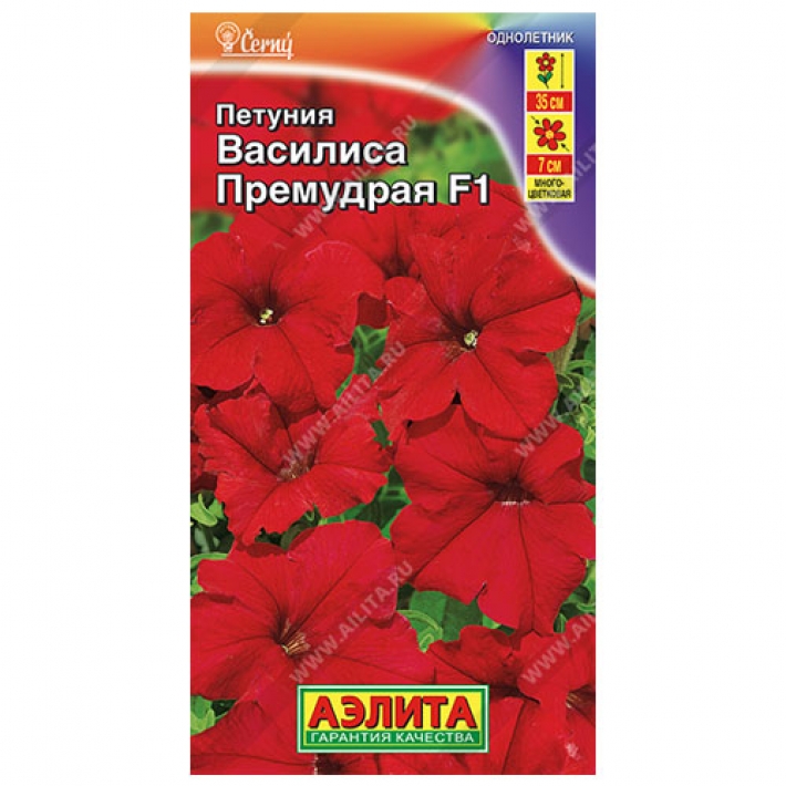 Петуния Василиса Премудрая F1 многоцветковая