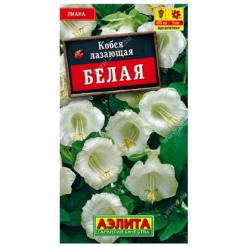 Кобея белая