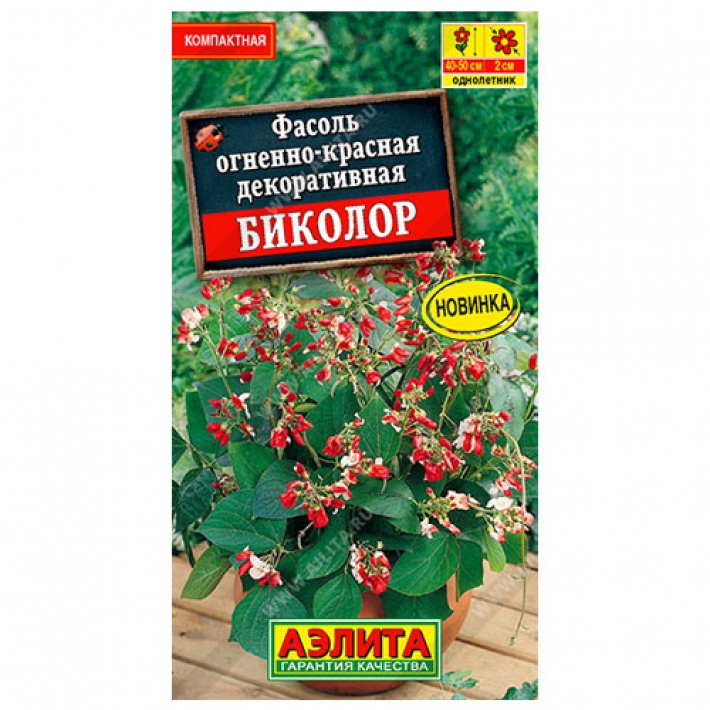 Фасоль декоративная Биколор