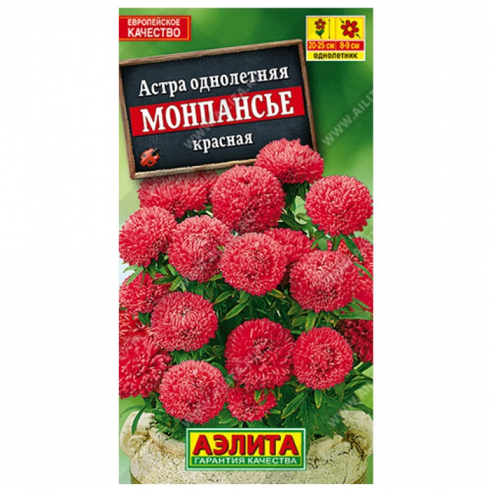 Астра Монпансье красная