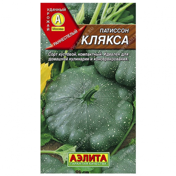 Патиссон Клякса