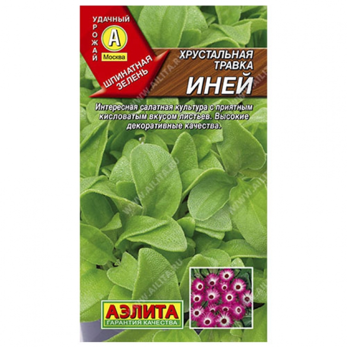 Хрустальная травка Иней