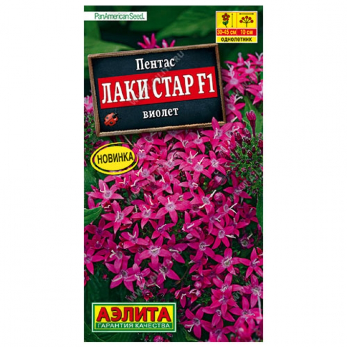 Пентас Лаки стар F1 виолет