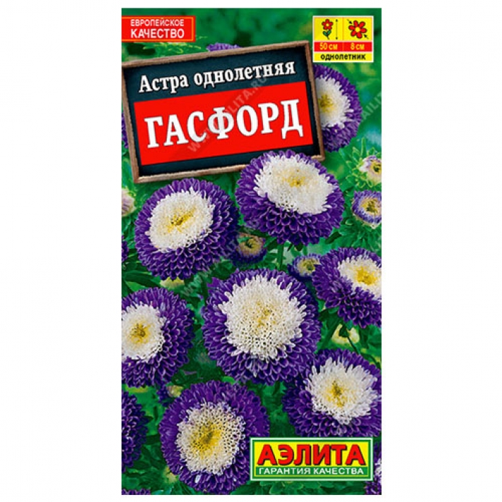 Астра Гасфорд