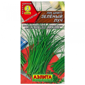 Лук шнитт Зеленый луч