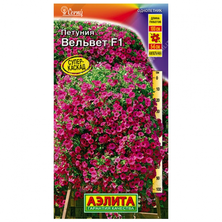 Петуния Вельвет F1 ампельная